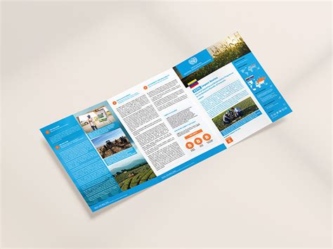 A Fact Brochure Example 的图像结果