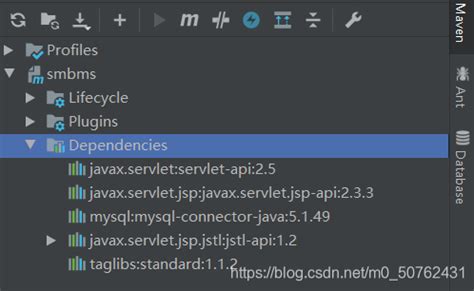 +Java.lang.classnotfoundexception Com.mysql.jbdc.driver 的图像结果