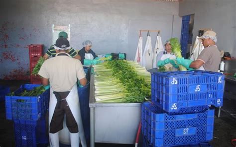 Consumidores se quejan del alto costo en legumbres