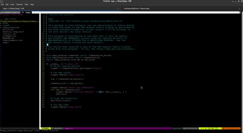 Edit Python Code in Vim Application 的图像结果