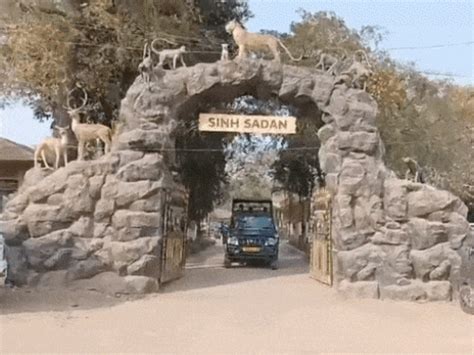 Sasan Gir Sinh Sadan Fake Website Creator Nasir Khan Arrested Rajasthan ...