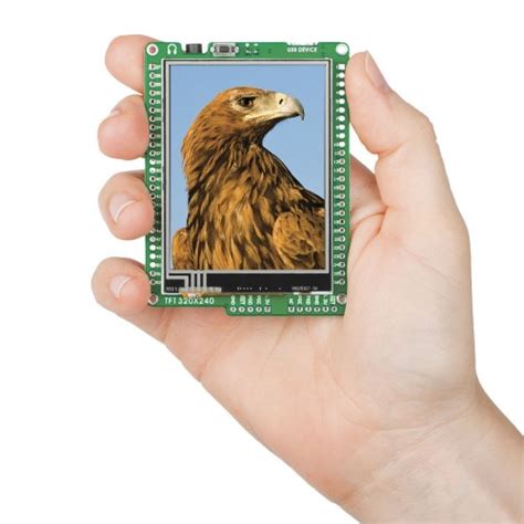 mikromedia for PIC24 at MG Super Labs India