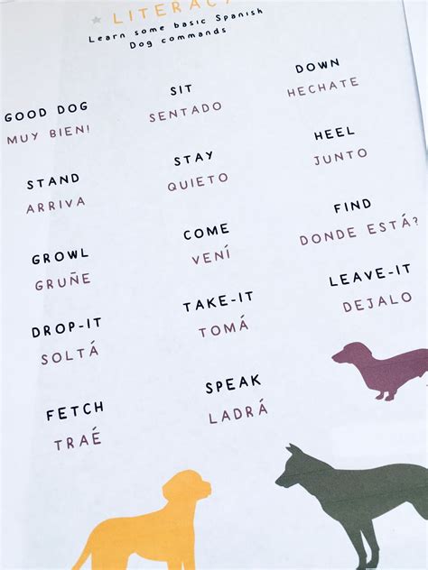 Dog Commands In Spanish