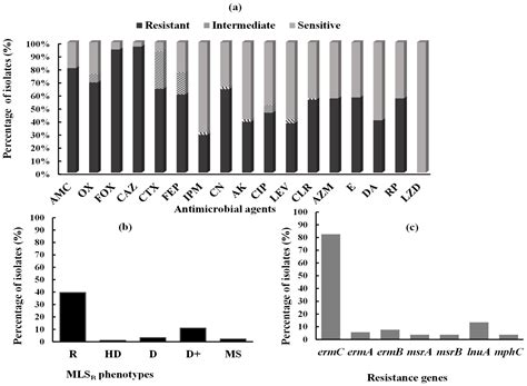 Inhibition of Erythromycin and Erythromycin-Induced Resistance among ...