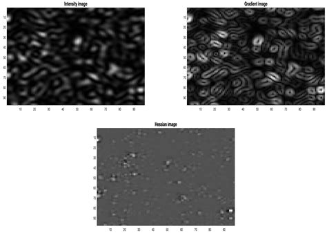 Gradient Correlation Functions in Digital Image Correlation
