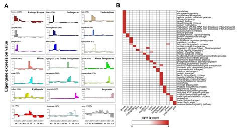 Analysis of Spatio-Temporal Transcriptome Profiles of Soybean (Glycine ...