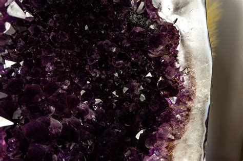 Bi-Color Amethyst Cathedral Geode with Dark Saturated AAA Purple ...