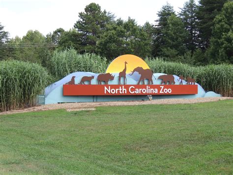 Asheboro Zoo Christmas Lights | Ralnosulwe
