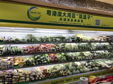 供港蔬菜實現內地香港雙供 大灣區市民共享「菜籃子」 - 香港文匯網