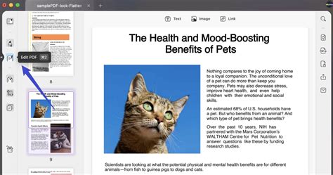 Image result for Add Text to PDF File