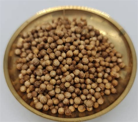Coriander Leaf Seeds / Kothumalli Chedi Vidhaigal – Viha Online