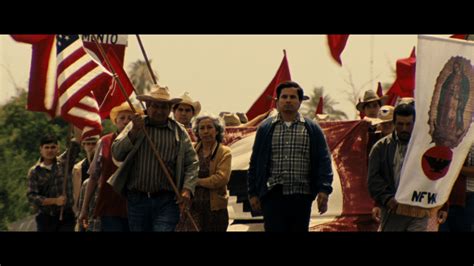 Cesar Chavez Flag Wallpaper