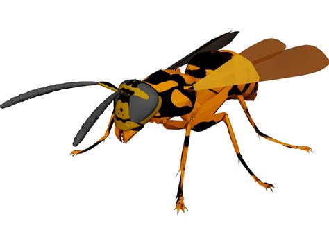 Image result for Wasp 3D Tutorial