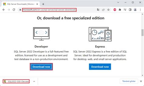 SQL Server 2022 Developer Download 的图像结果