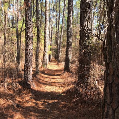 Dillon Tourism (2024): All You Need to Know Before You Go