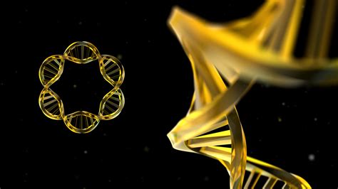 Image result for Formulation Development pDNA