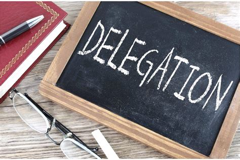 delegation 的图像结果
