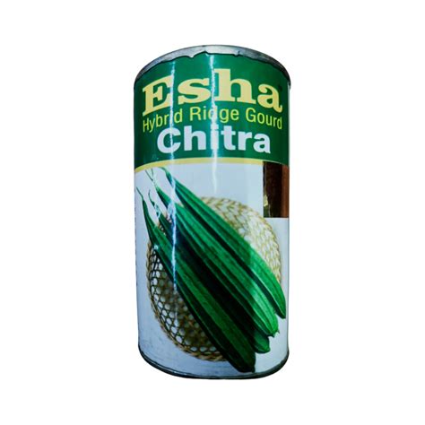 Esha Ridge Gourd Seeds | Buy Online at Best Price - DesiKheti – Desikheti