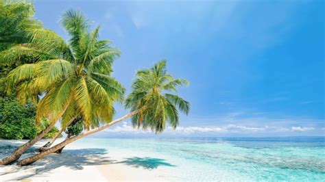 Image result for Beach Python Code