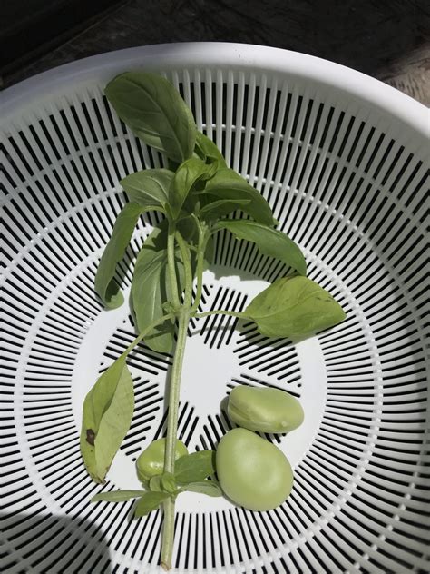 Image result for Alienware M14x R2 Model