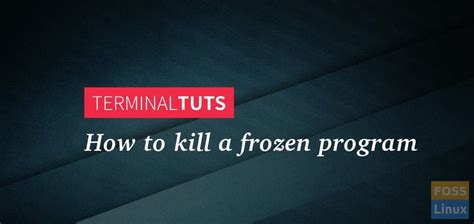 Programs Kill 的图像结果