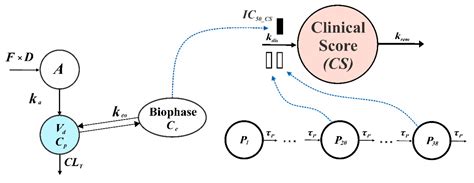 Pharmacokinetic/Pharmacodynamic Evaluation of a New Purine-2,6-Dione ...