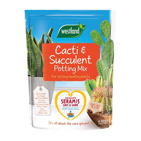 Westland Cacti & Succulent Potting Mix Peat Free | Indoor | Garden Health
