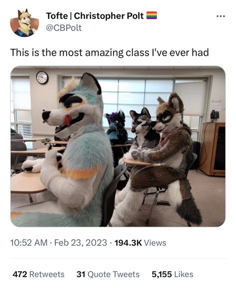 Boston College Professor Brings Furries to Class [WITH PHOTOS] – HCRN