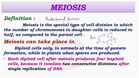 Meiosis Definition Frontiers | Tell The Difference Between Mitosis And