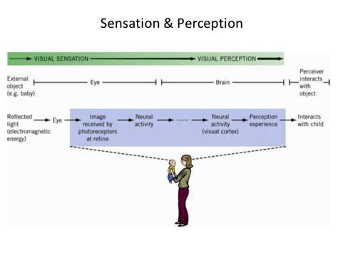 Image result for Visual Perception Psychology. Examples