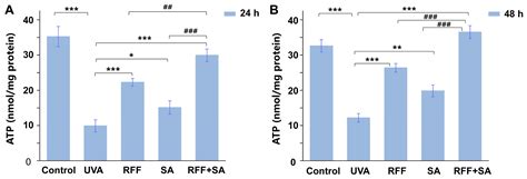 Photoprotective Potential of a Yeast/Rice Fermentation Filtrate and ...