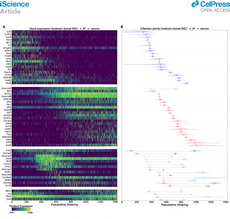 Image result for Cell Stage Gene Expression