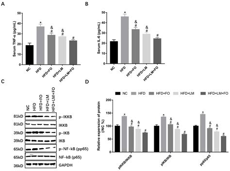 Effects of Fish Oil, Lipid Mediators, Derived from Docosahexaenoic Acid ...