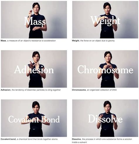 Science ASL Sign 的图像结果