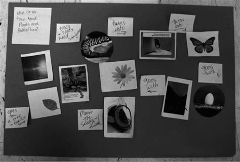 Children Assessable Map 的图像结果