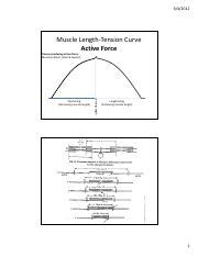 Image result for Muscle Tension Duration Graph