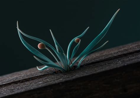 Operational Stability → Term