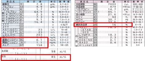 Image result for Flowgorithm Multiple Arguments