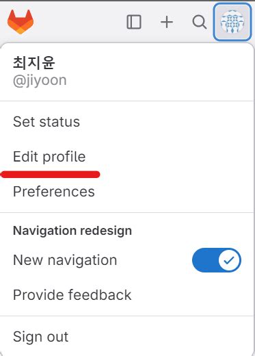 GitLab SSH Key Custom Instance 的图像结果