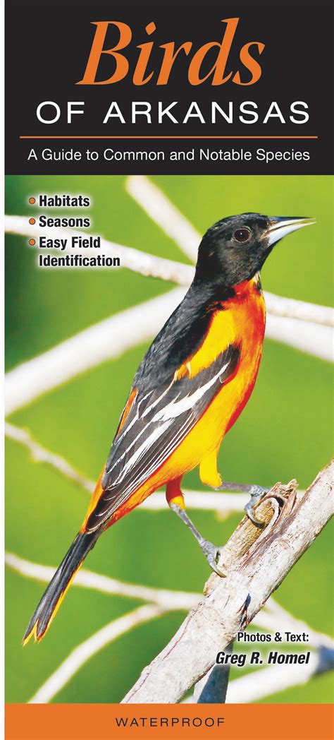 Birds of Arkansas – Quick Reference Publishing Retail