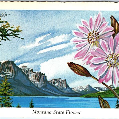 1973 MT Montana State Flower Bitterroot Mountain Lake Ken Haag Painting ...