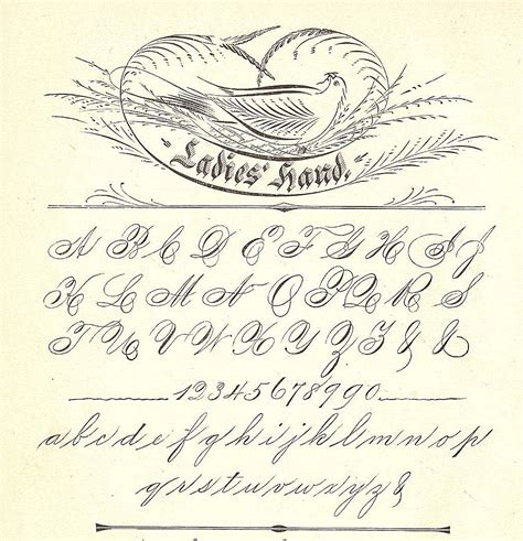 Image result for Spencerian Script Calligraphy Alphabet