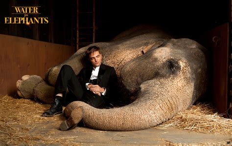 HD Wallpaper: Robert Pattinson in Water For Elephants