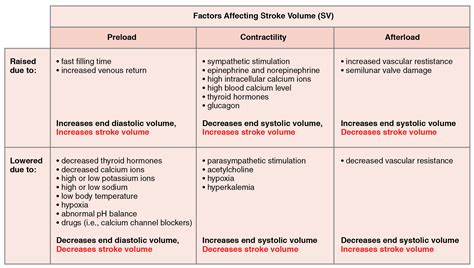 Cardiac Physiology · Anatomy and Physiology
