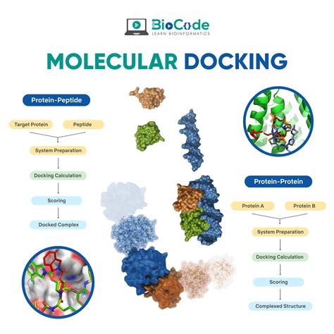 Image result for Molecular Docking Tutorial