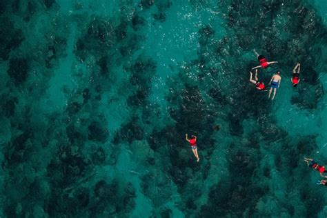 2023 Boat and Snorkeling in West End (Blue Channel, The Aquarium ...