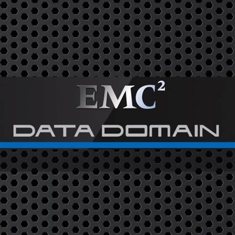 What Is Data Domain 的图像结果