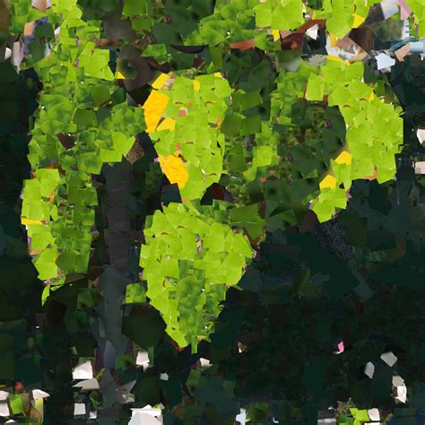 GIMP Python 的图像结果