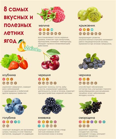 Ягоды все виды и названия фото
