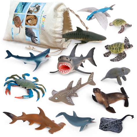 Atlantic Ocean Animals